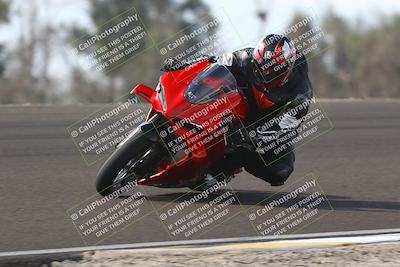 media/Nov-02-2025-Lets Ride (Sun) [[f7a3caa734]]/A Group/11am (Turn 2 Inside)/